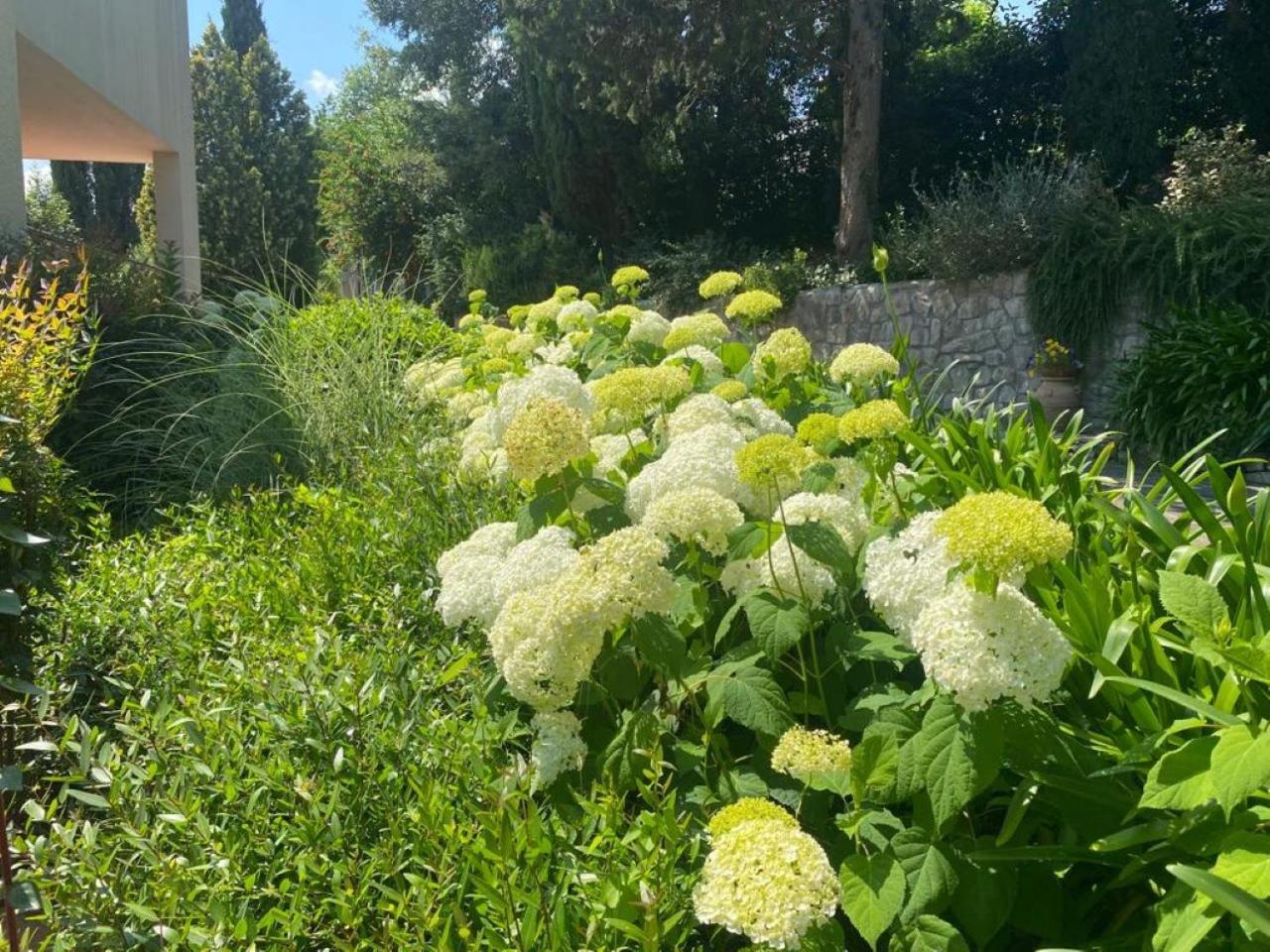 Villa Luna Comeana Luaran gambar