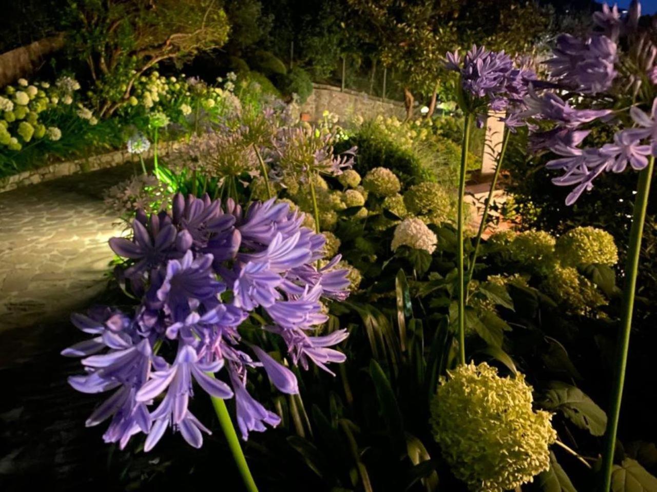Villa Luna Comeana Luaran gambar