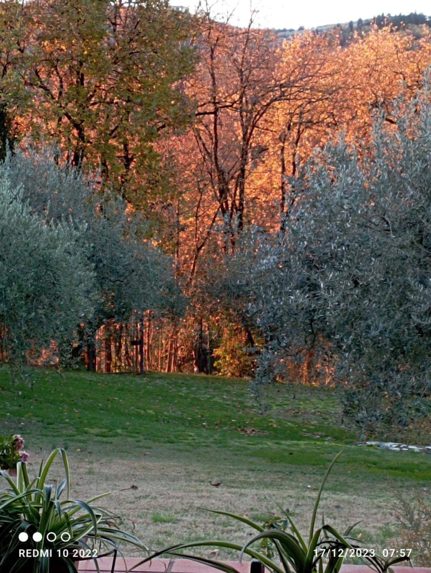 Villa Luna Comeana Luaran gambar