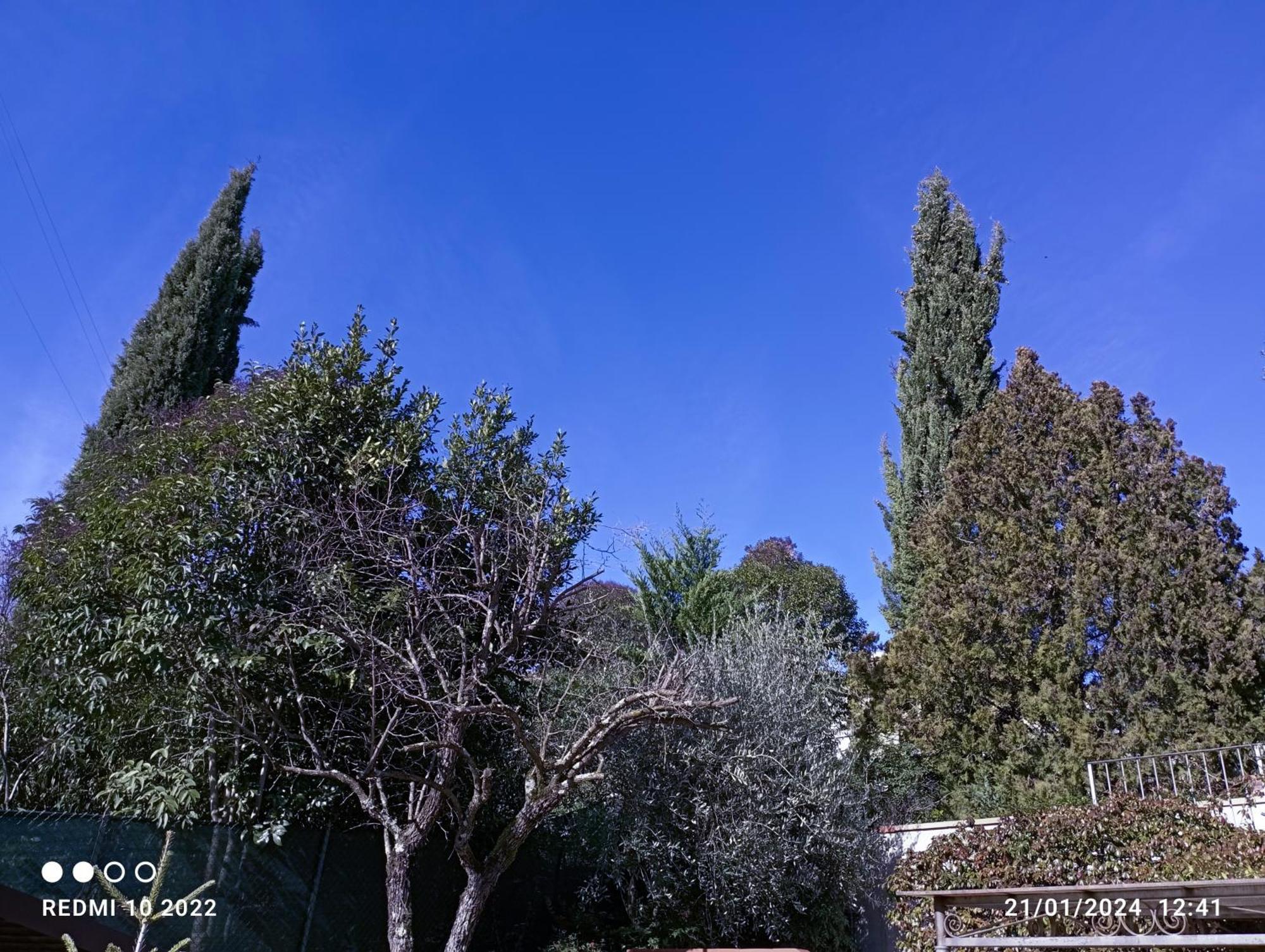 Villa Luna Comeana Luaran gambar