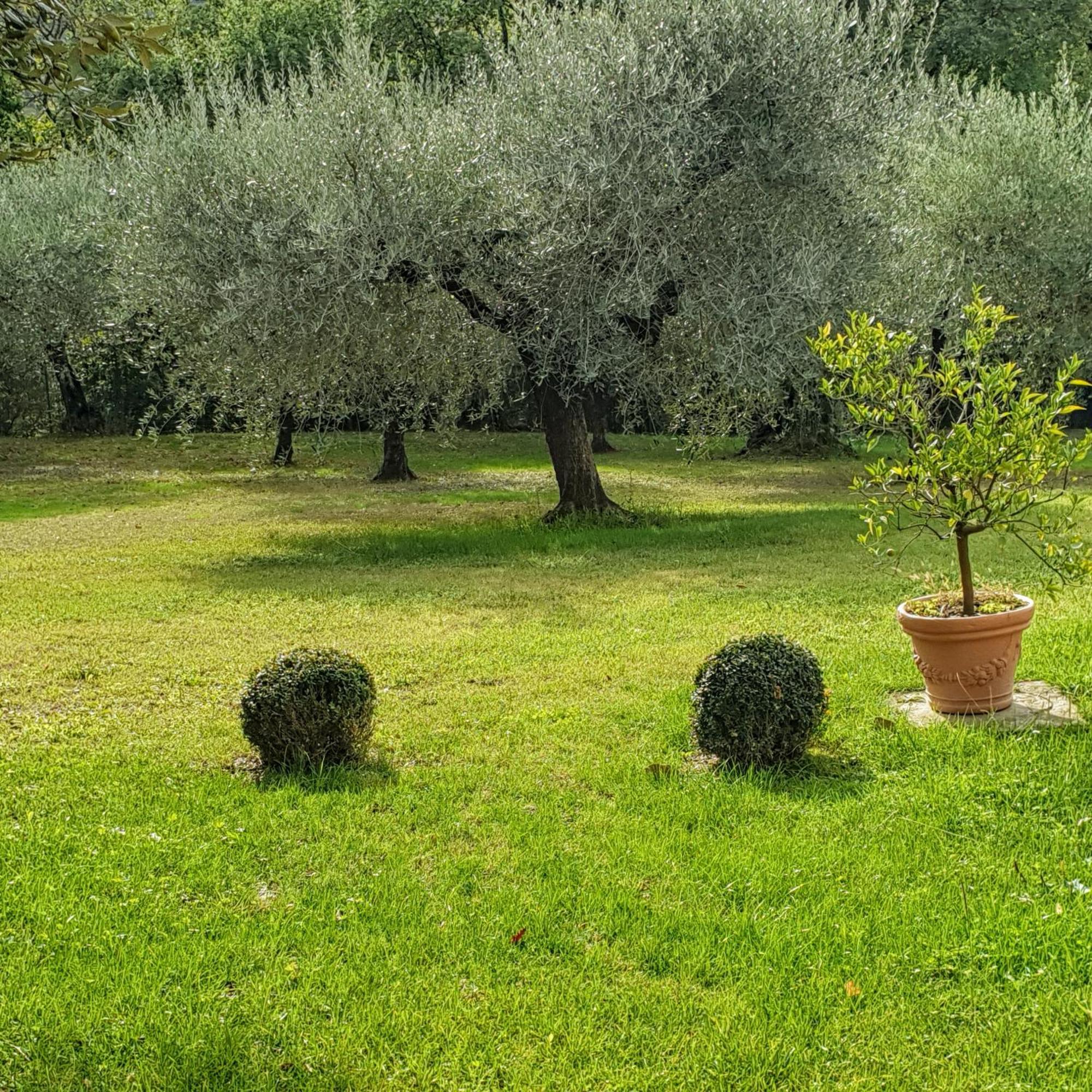 Villa Luna Comeana Luaran gambar